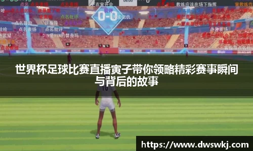 XK体育